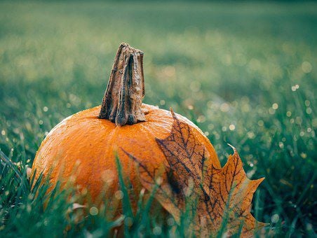 Lamoille Harvest Festival